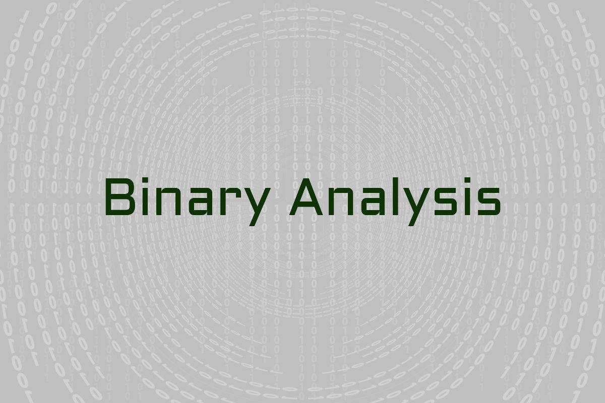 Image displaying binary zeroes and ones as part of binary analysis