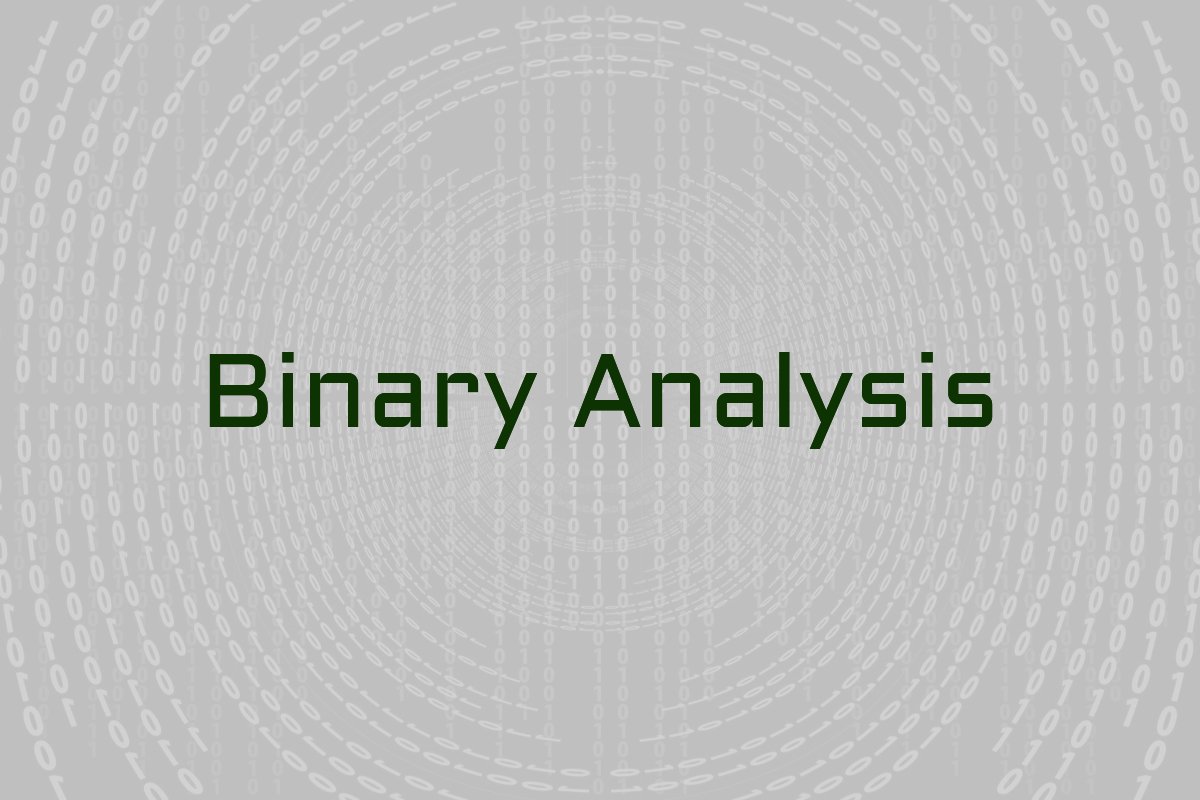 Binary analysis