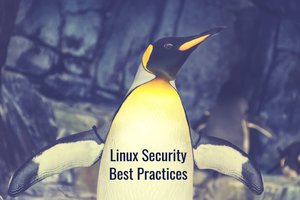 Penguin image for the Linux security best practices guide