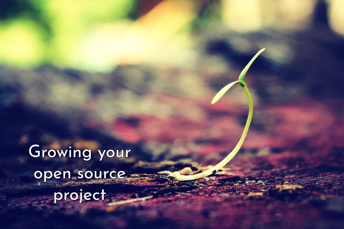 Image of growing seed related to checklist for promotion your open source project