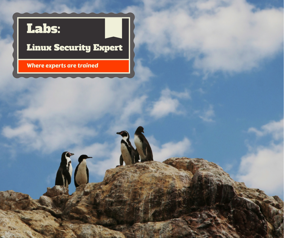 linuxsecurity.expert